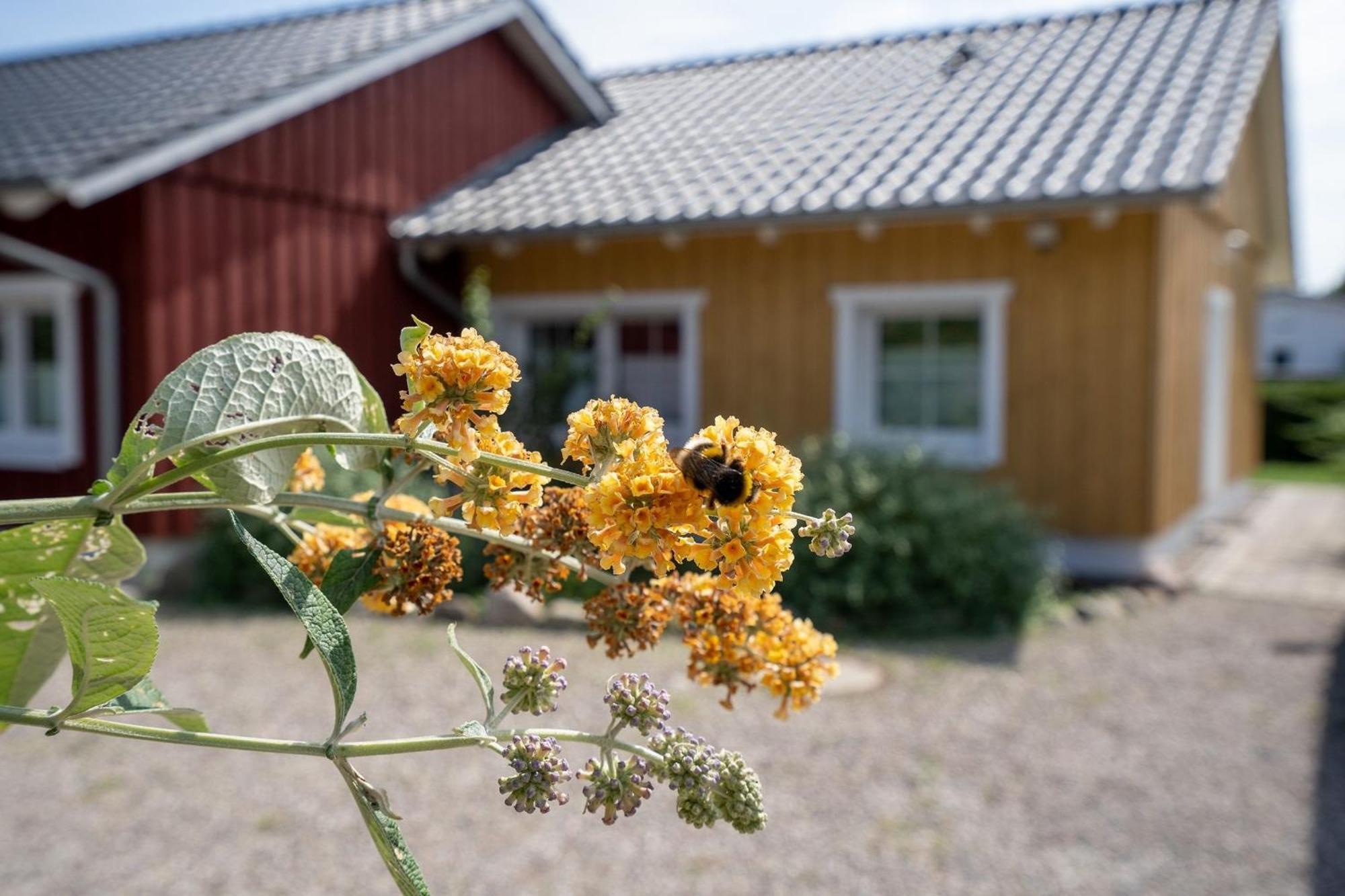 Alte Dahme Haus 2 Villa Eksteriør bilde